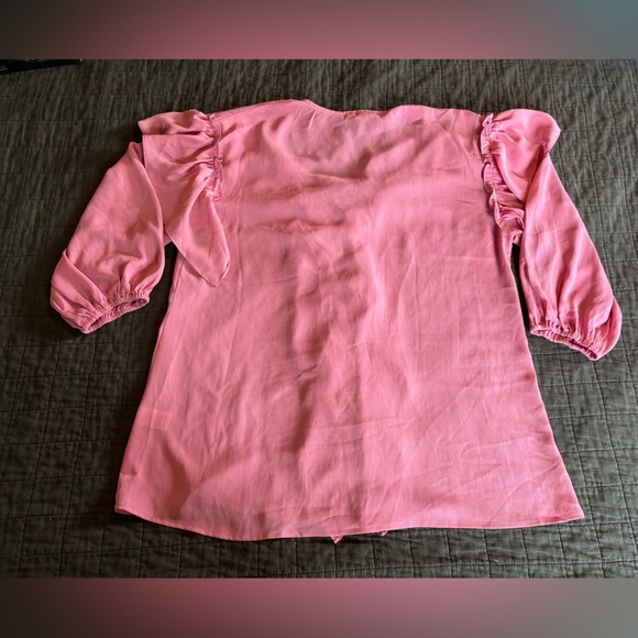 EUC Entro‎ Pink Sheer Ruffle Blouse Size Large - Picture 2 of 6